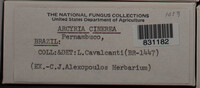 Image Associated With the Occurence